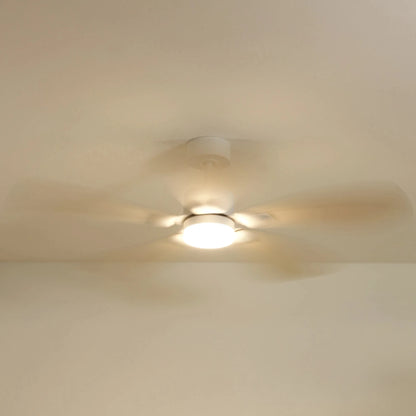 2-spin-on_35fb8c2c-58fd-4f81-9824-b73b32903188.webp
