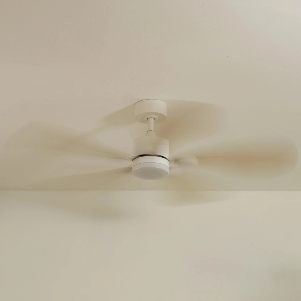6-spin-off_67011d5b-6f05-4a1f-a9c1-d11178ff0236.webp