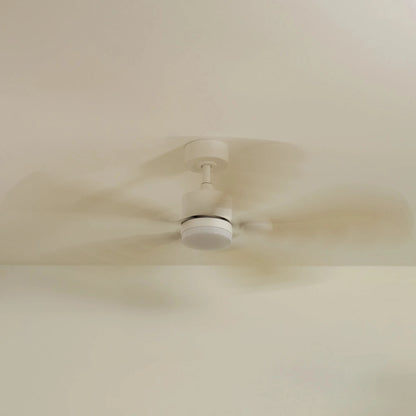 6-spin-off_a53ebd59-9f2b-4efe-b441-b5f020c194a7.webp