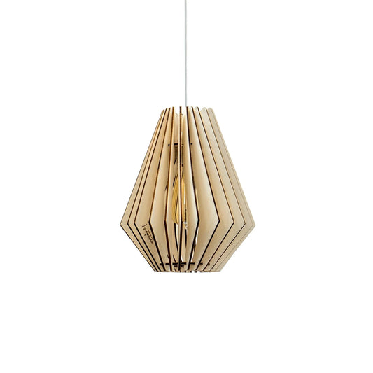Ambre-fond-blanc.webp