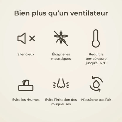 avantages-ventilateur_a59bf3da-bf80-4a3d-8979-3b7644aafccc.webp