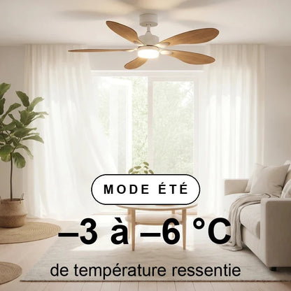 libellule-scene-ete-overlay.webp