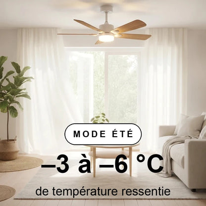 mistral-scene-ete-overlay.webp