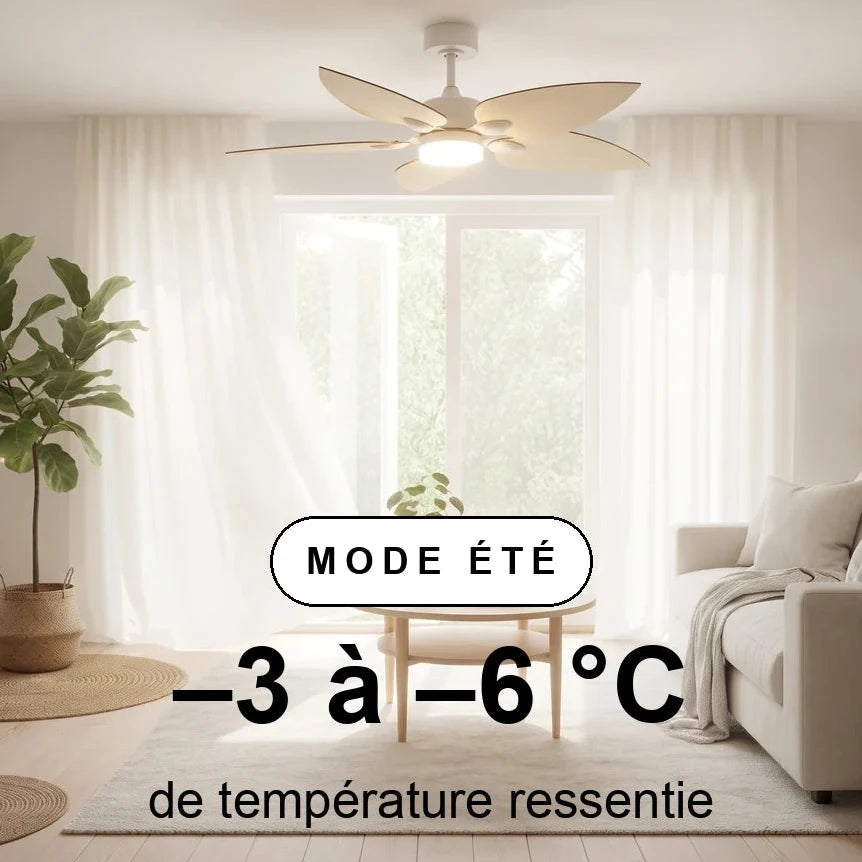 scene-ete-overlay_b97d45de-4064-4a3a-a4b9-c894a5a65065.webp