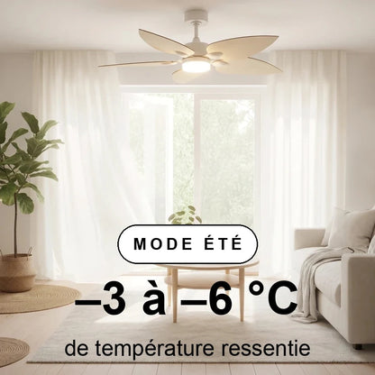 scene-ete-overlay_b97d45de-4064-4a3a-a4b9-c894a5a65065.webp