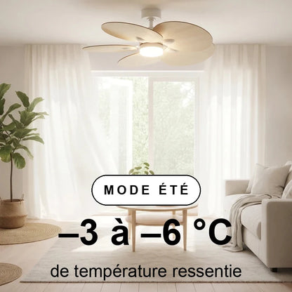 scene-ete-overlay_ff11e881-fef7-4445-921b-880b05bd43a9.webp