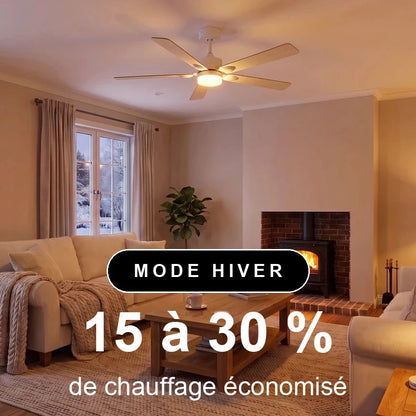 scene-hiver-1x1-overlay.webp